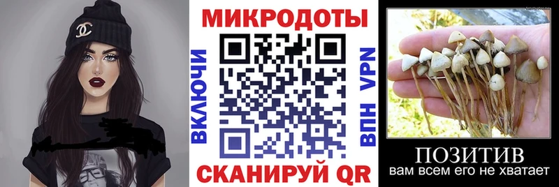 Псилоцибиновые грибы прущие грибы  Кондрово 