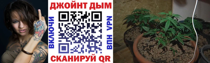 Марихуана Amnesia  MEGA маркетплейс  Кондрово 